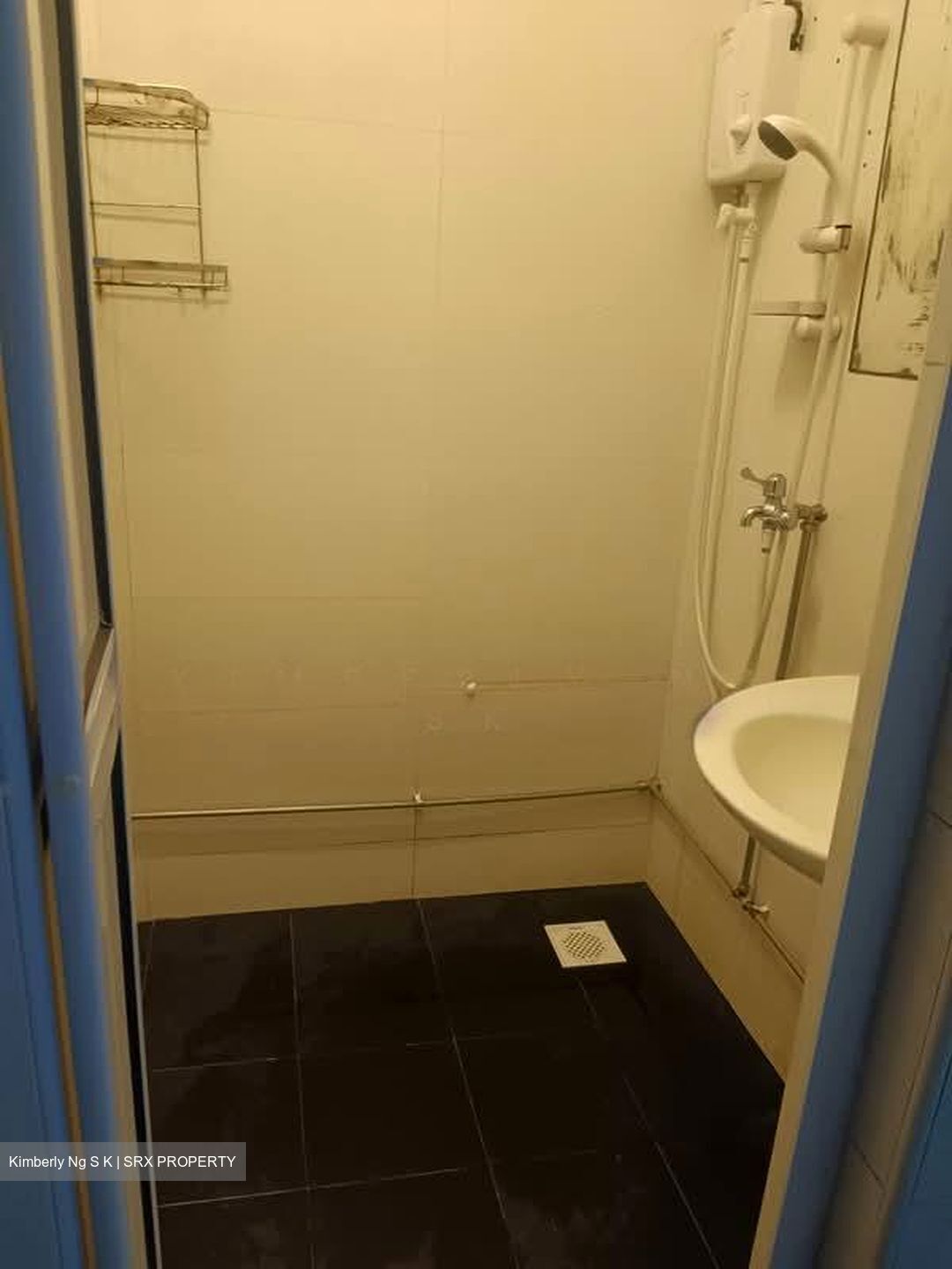 Upper Paya Lebar Road (D19), Shop House #593659921